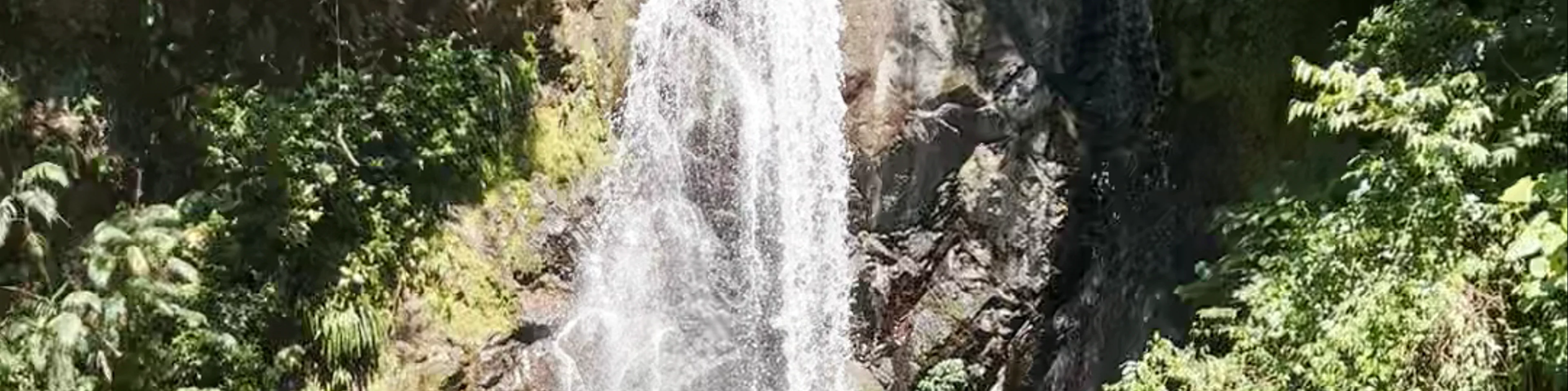 El Tigre Waterfalls Monteverde