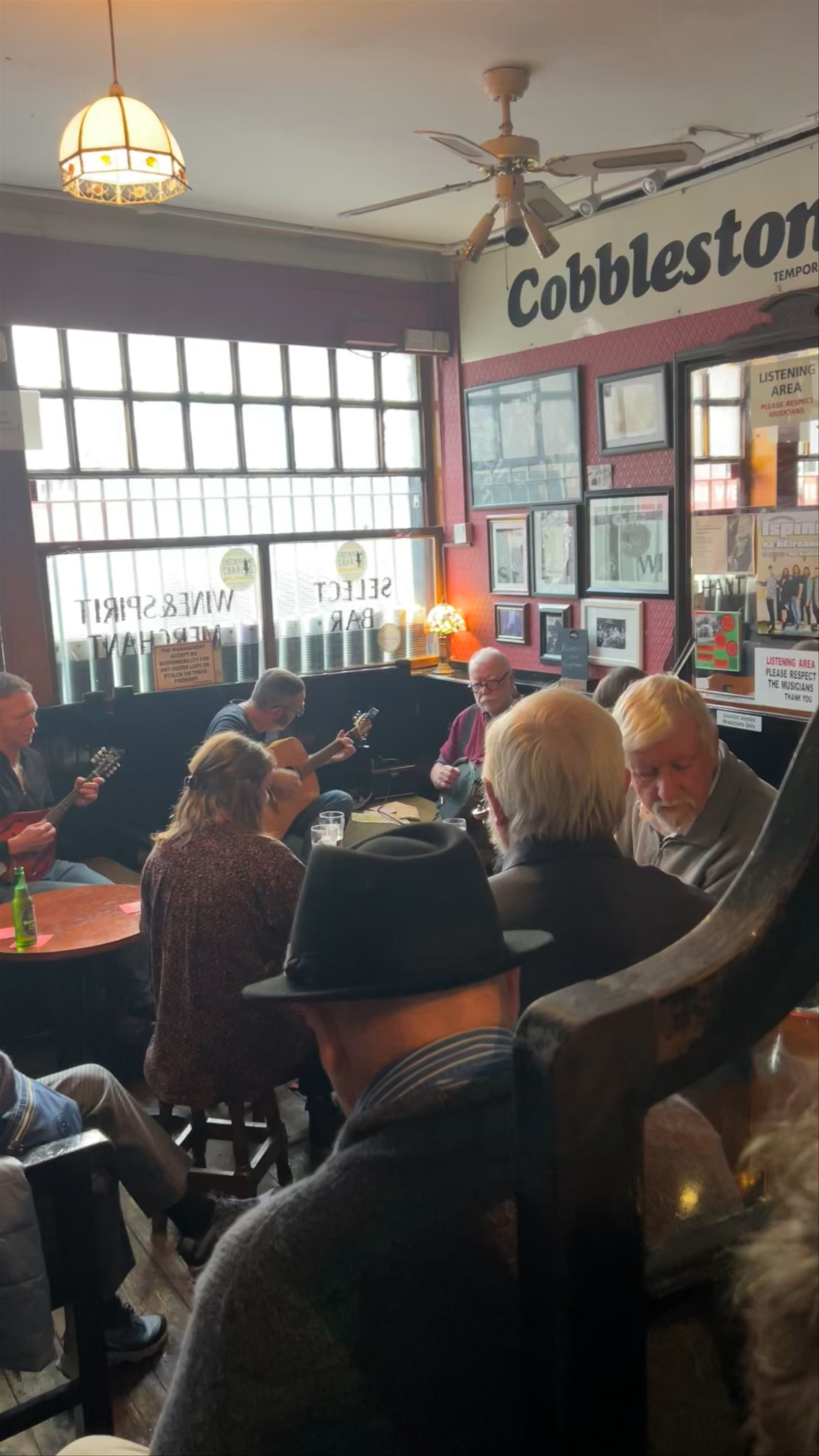 Cobblestone Pub: Live Traditional Irish Music Session in Dublin