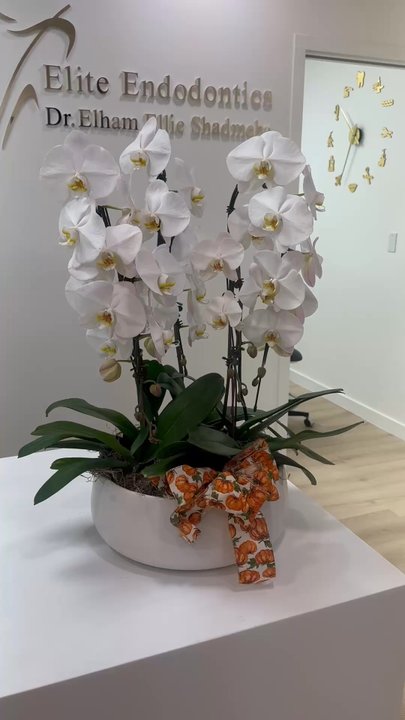 Elite Endodontics - Endodontists Near Me - San Francisco, California