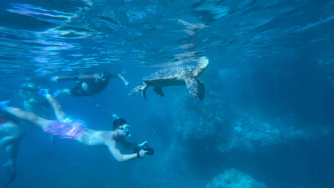 Zephyr Maui - Snorkeling Near Me - Kihei, Hawaii
