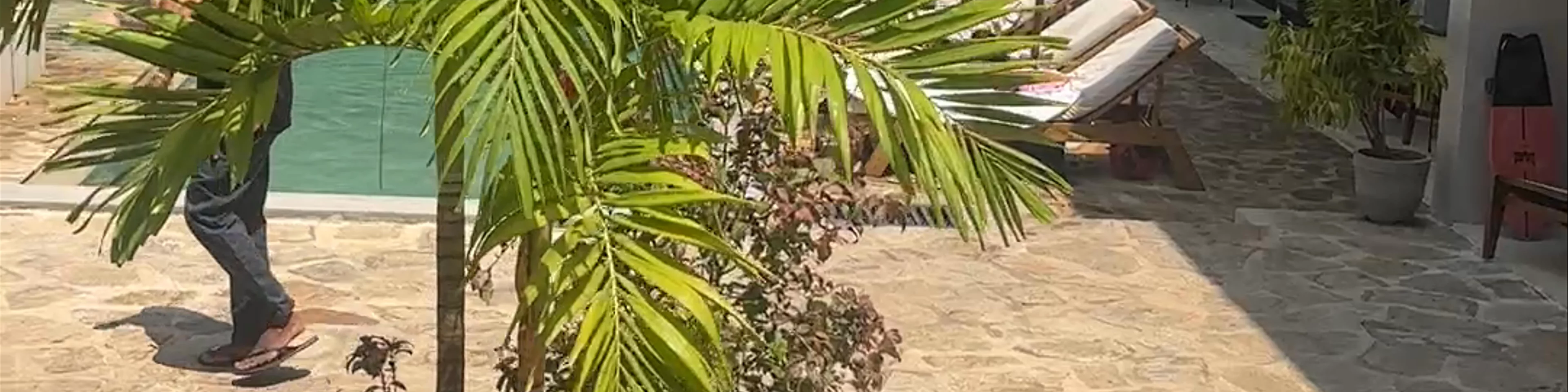 Terra Resort