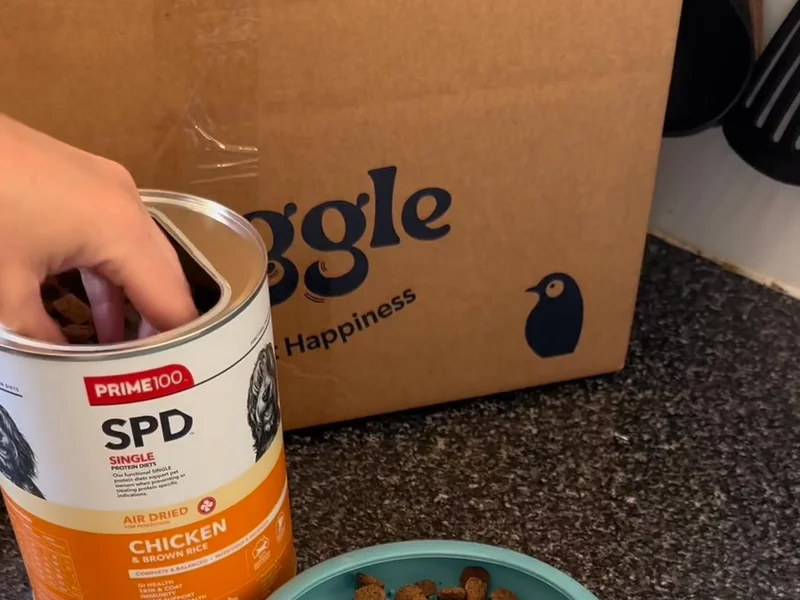 Swaggle - Brand Awareness