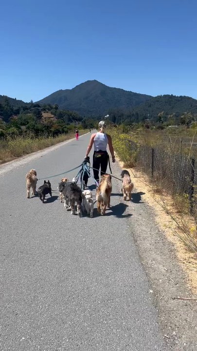 Bark Around The Block - Walking as one - Dog Walkers Near Me - Alameda, California