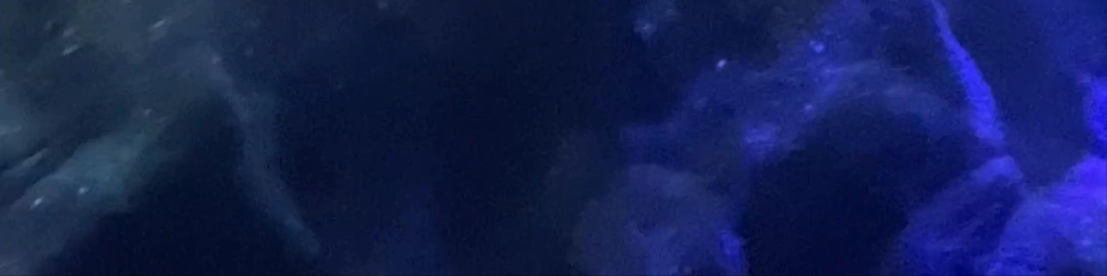 Oceanogràfic