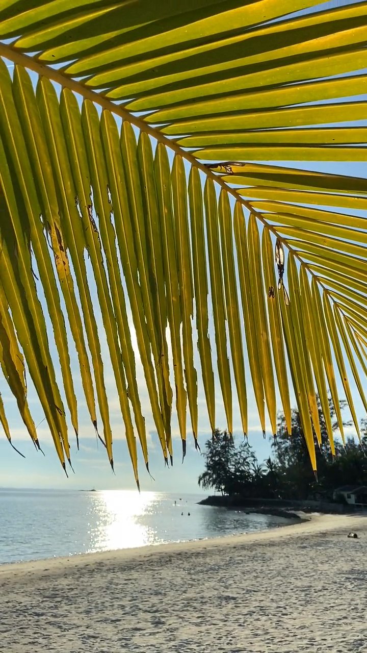 add to the bucket list 🏝️
📍 Seychelles
🎥 Peggy Anke · Pexels
#travel #beach #island #paradise #wanderlust