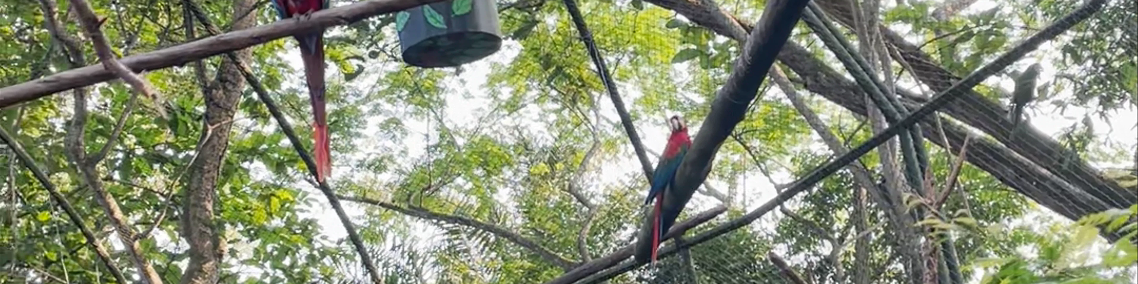 Zoológico Parque Jaime Duque