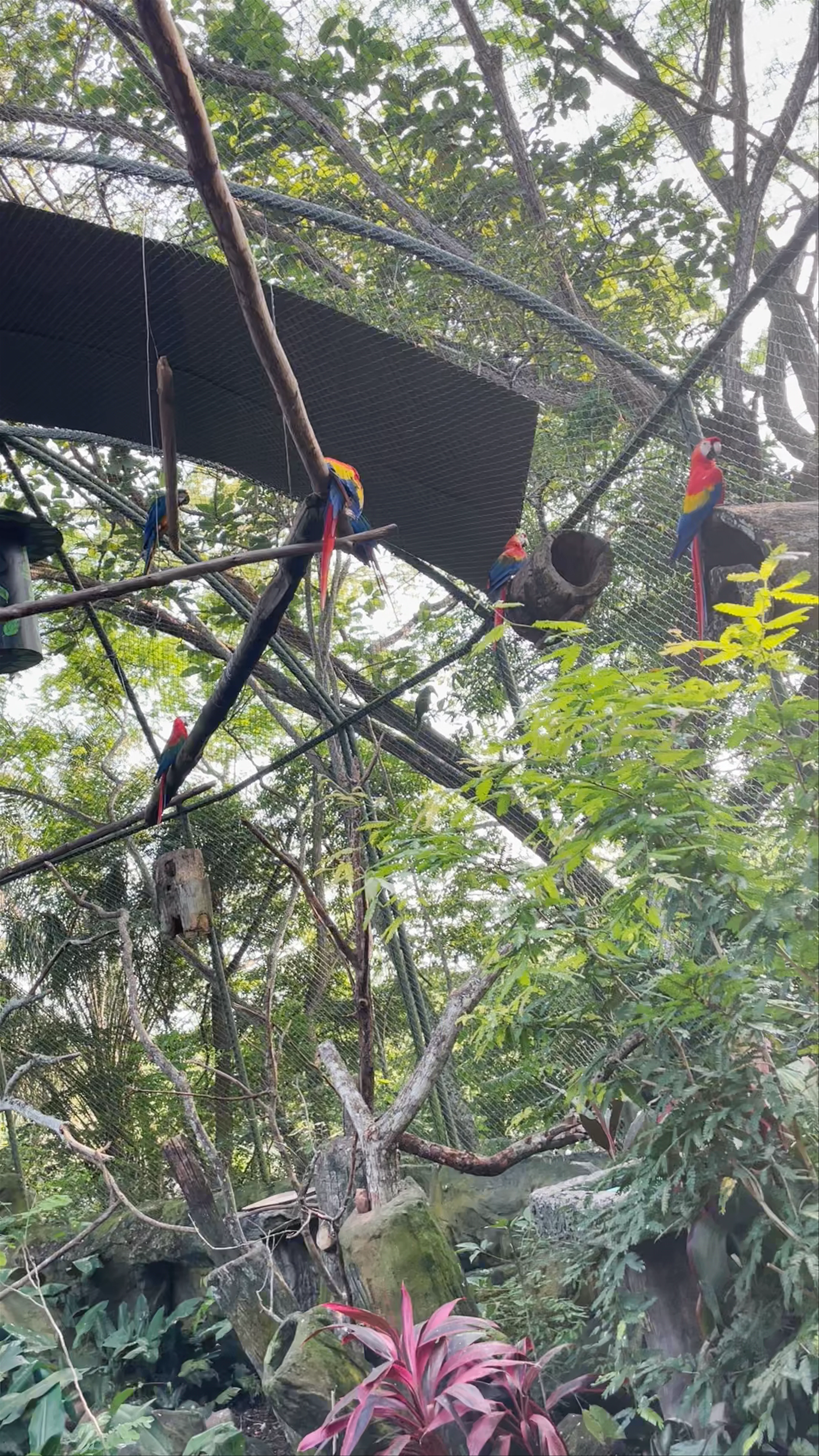 Zoológico Parque Jaime Duque