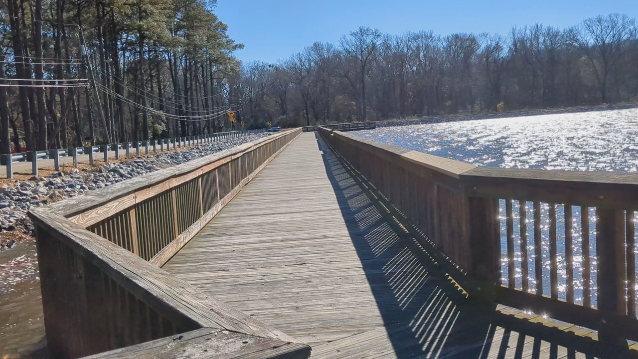 Stumpy Lake Natural Area - Video - Rafting/Kayaking Near Me - Virginia Beach, Virginia