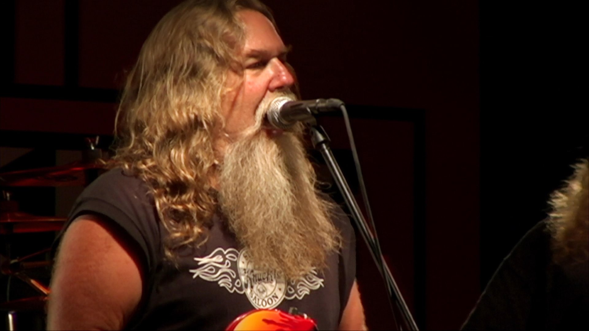 A long-haired, bearded musician performs on stage, alternating between playing an electric violin and singing into a microphone.