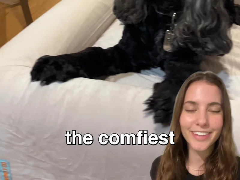 Ad 1 for Dog Friendly Co.