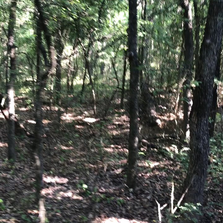 Marshall Creek Ranch - Summer Camps Near Me - Southlake, Texas
