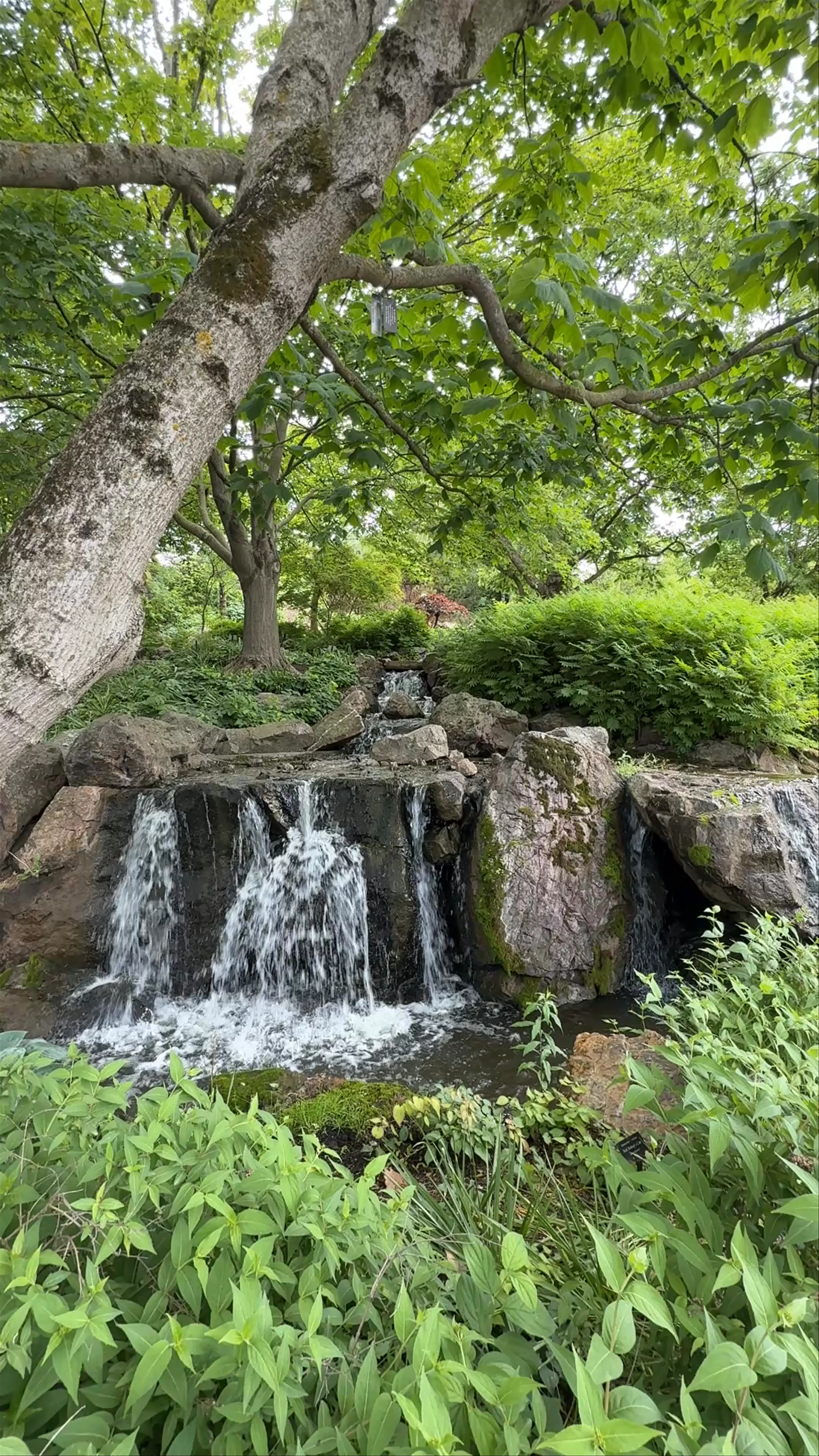 Chicago Botanic Garden