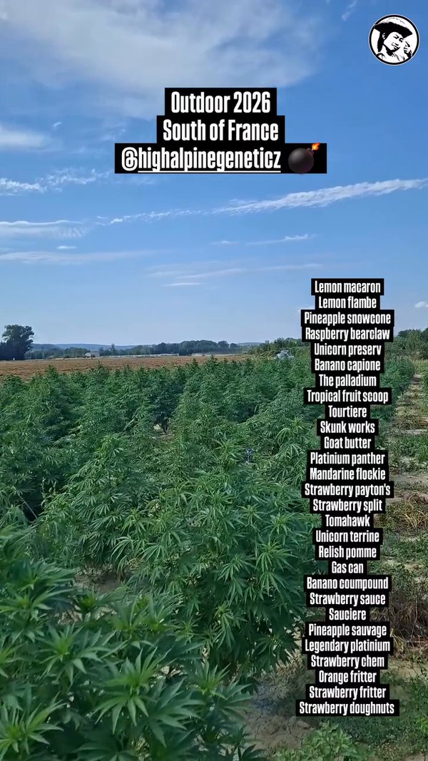 25 août 2026