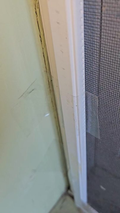 Hostel Obispo - The window screen was taped on - Hostels Near Me - San Luis Obispo, California