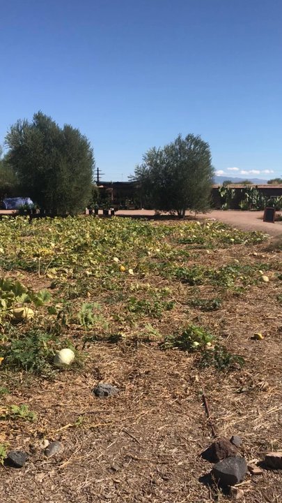 Mission Garden - Parks Near Me - Tucson, Arizona
