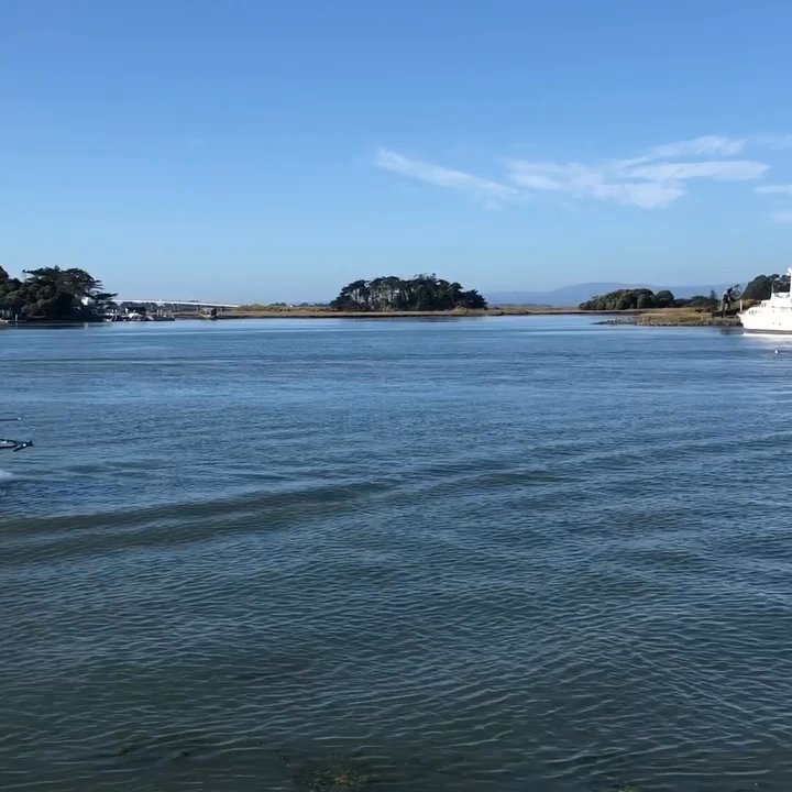 Eureka Boardwalk - View from the Eureka Boardwalk - Local Flavor Near Me - Eureka, California