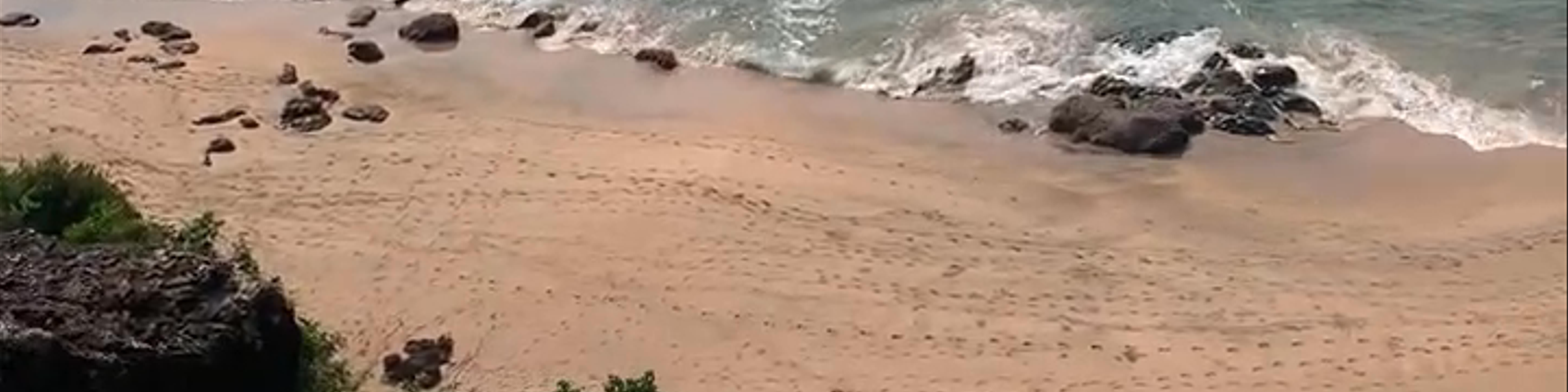 Goa