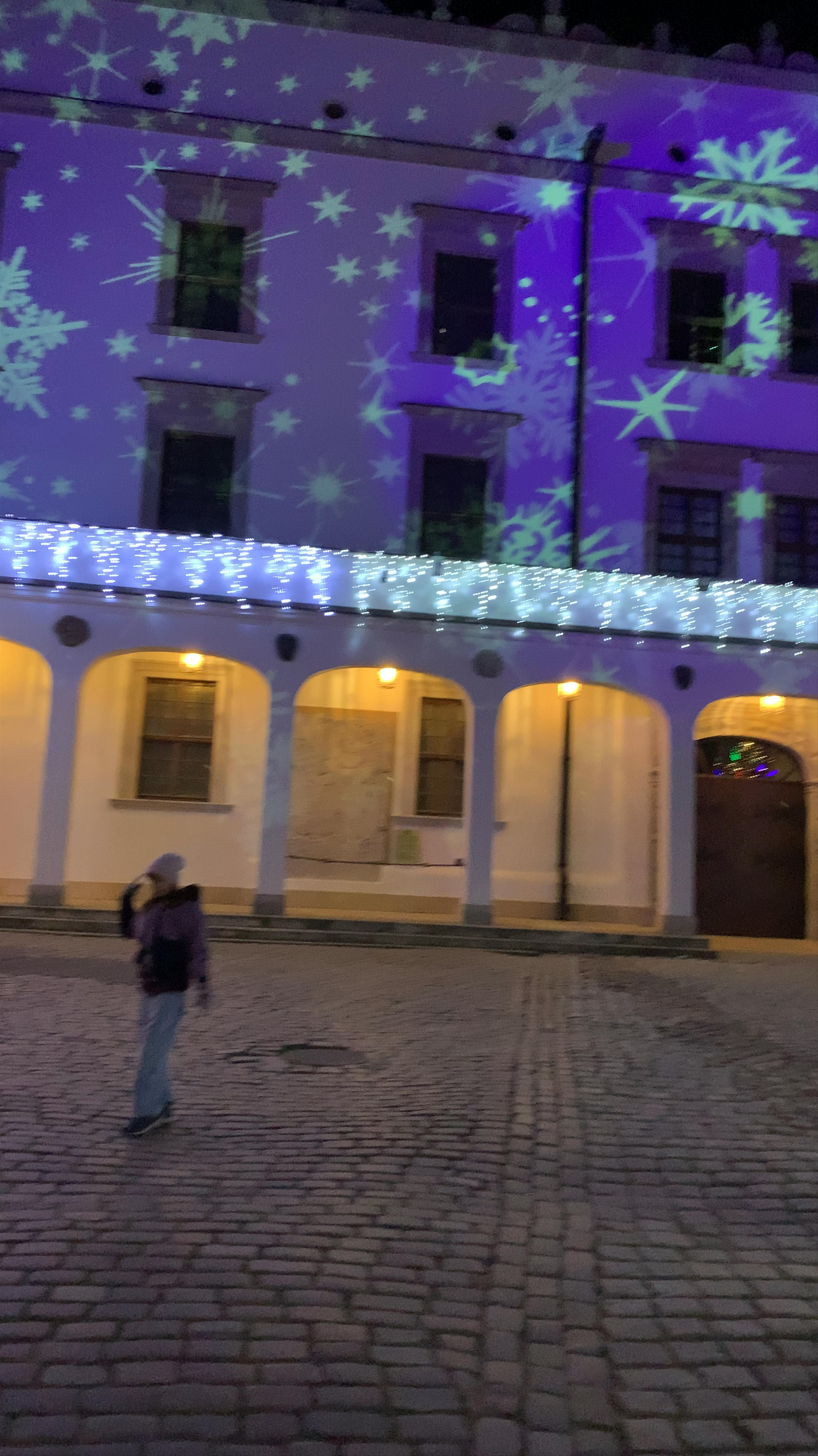 Zamek Książąt Pomorskich w Szczecinie