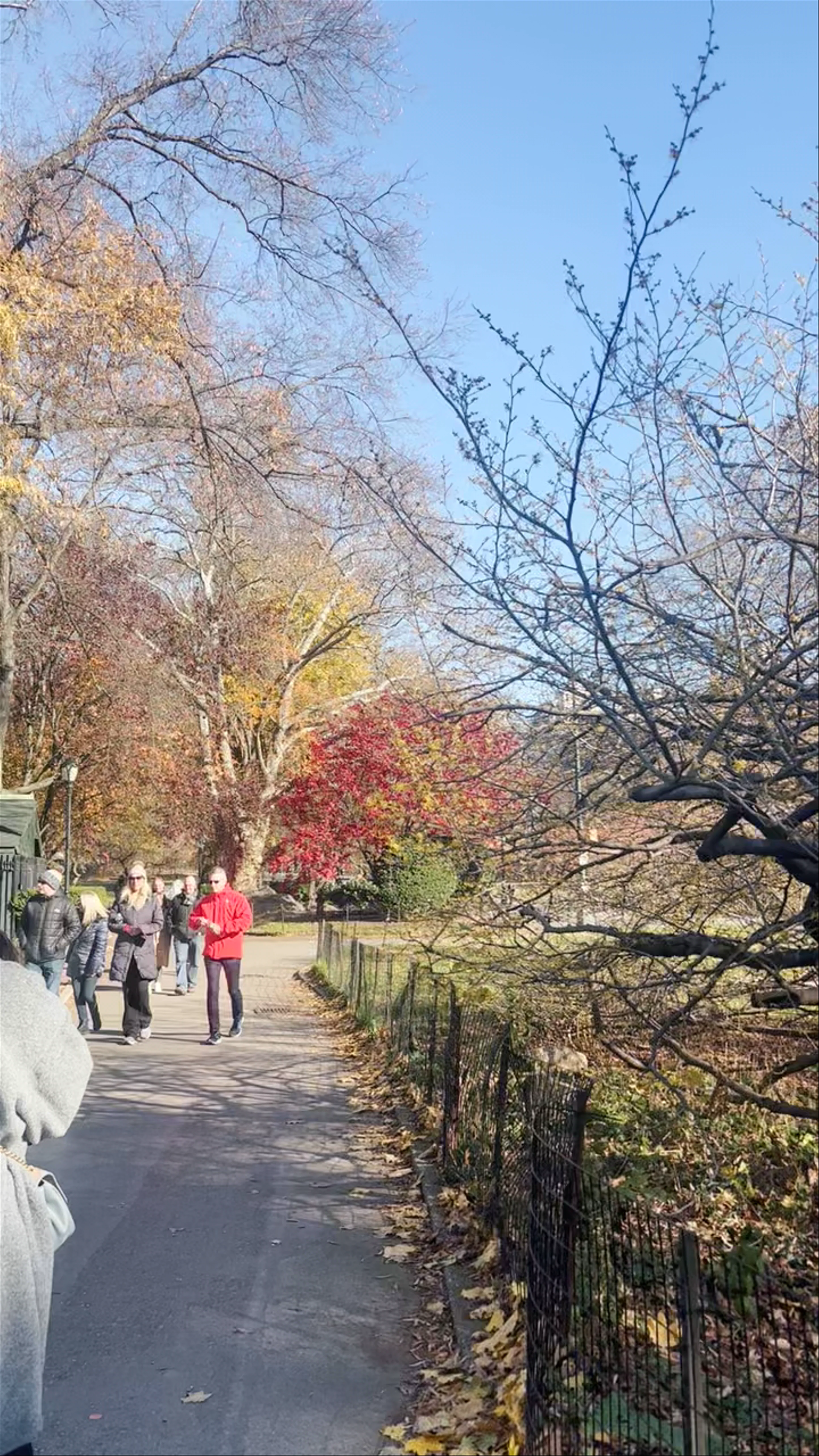 Central Park East II, East 100th Street