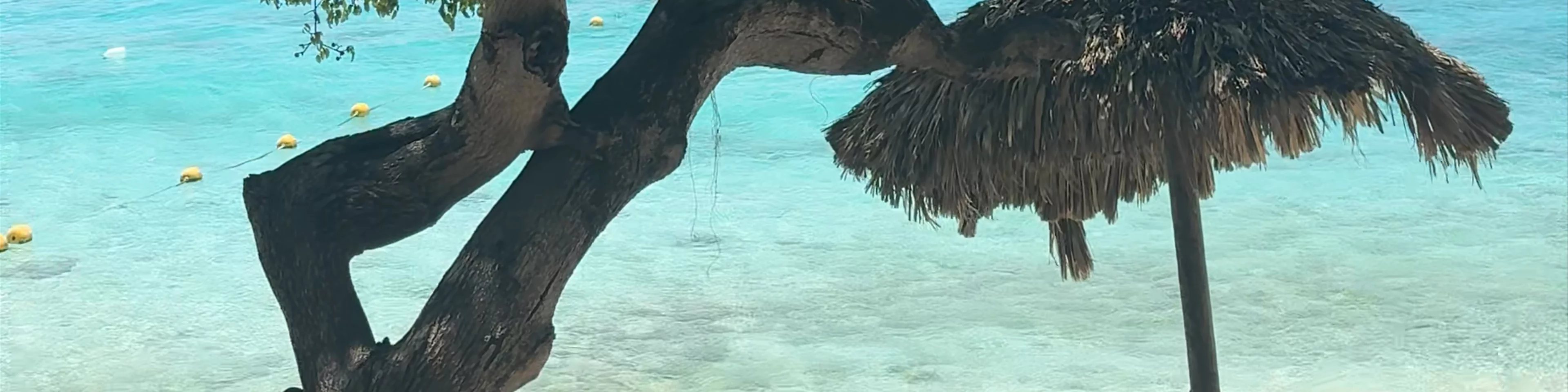 Playa Kalki