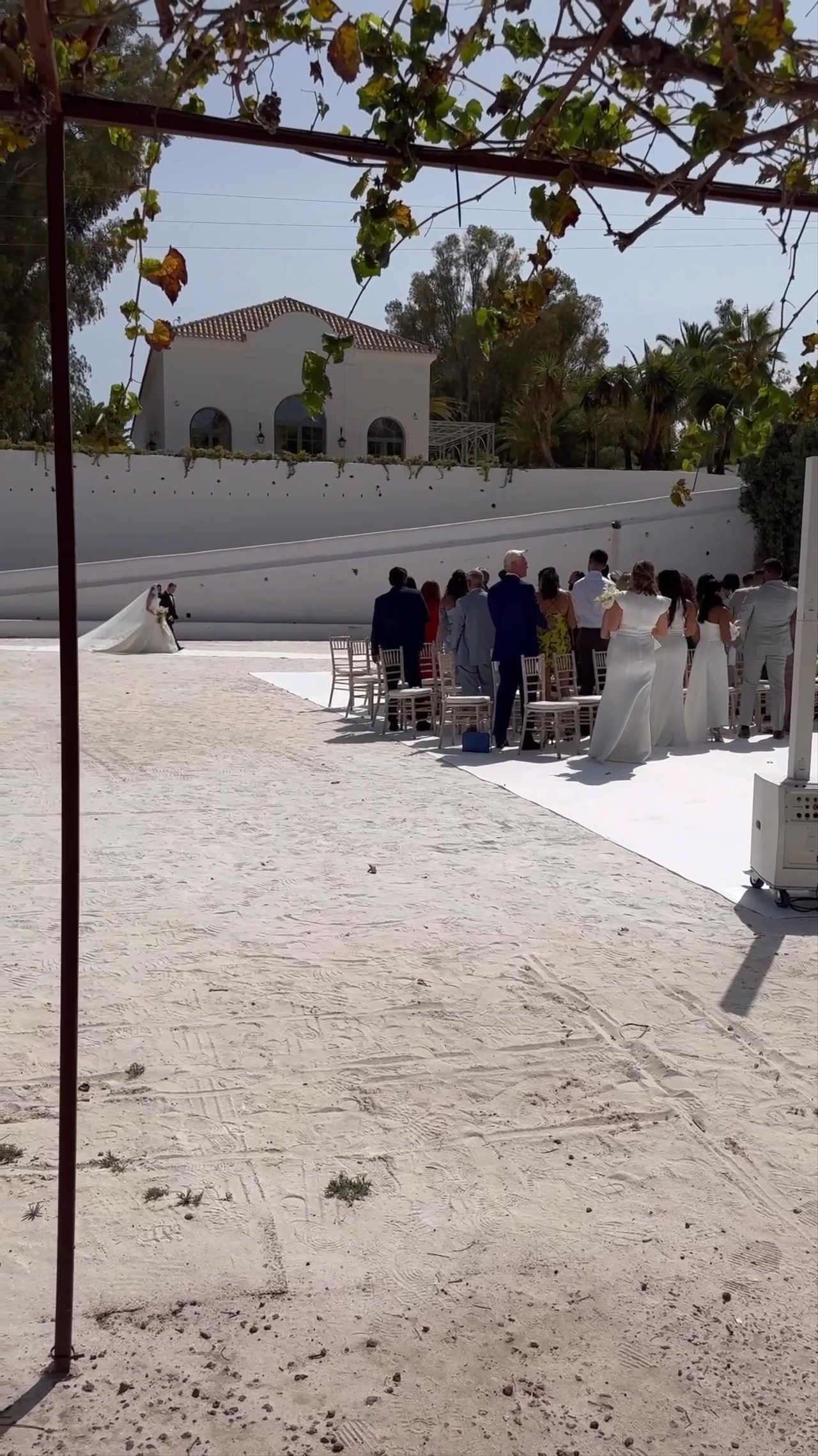 Scintillate - Live Wedding 2026 - video