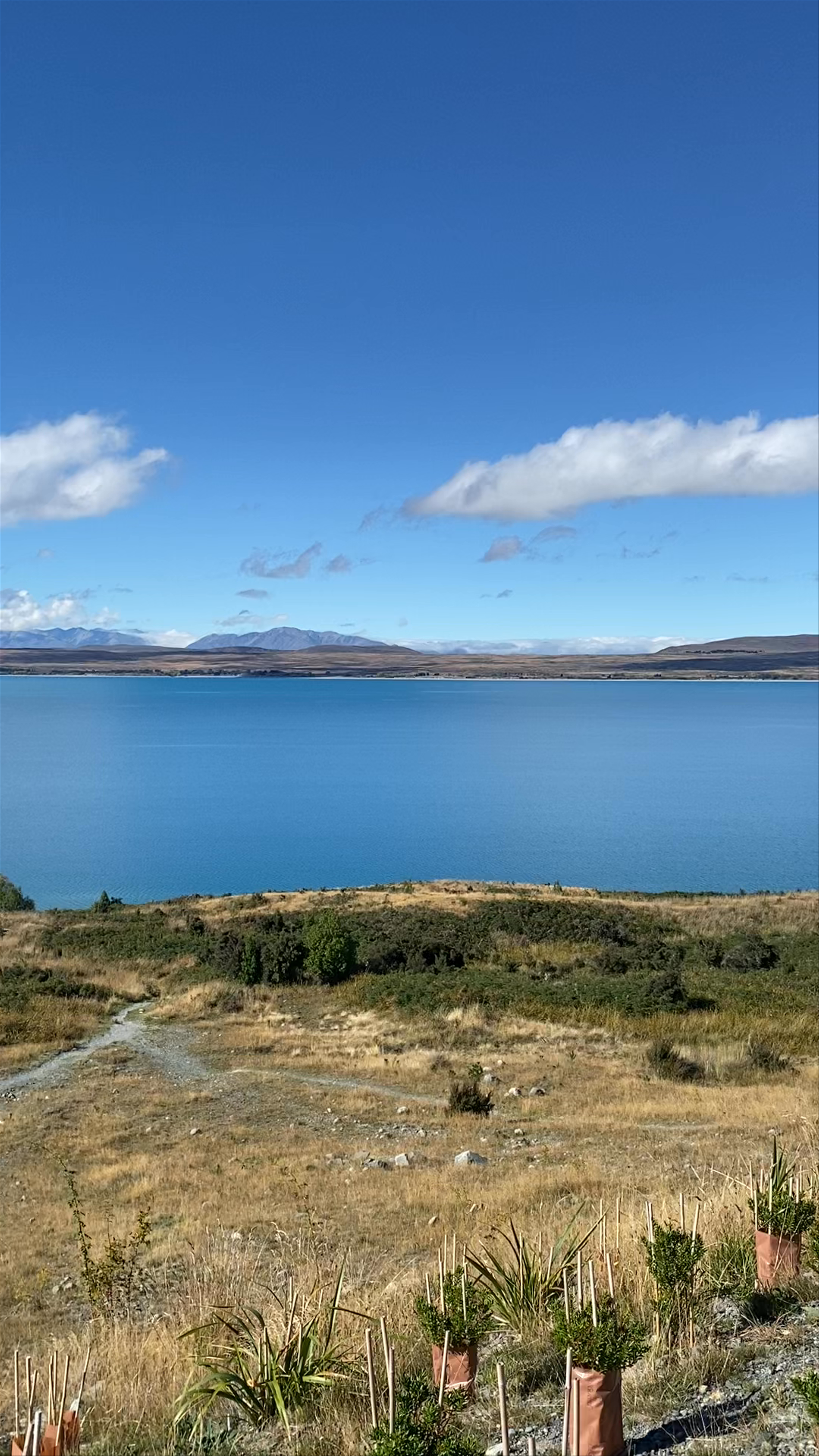 Tapataia Mahaka Peter's Lookout (Lake Pukaki Viewpoint) (Mount Cook Road) Mount Cook Road