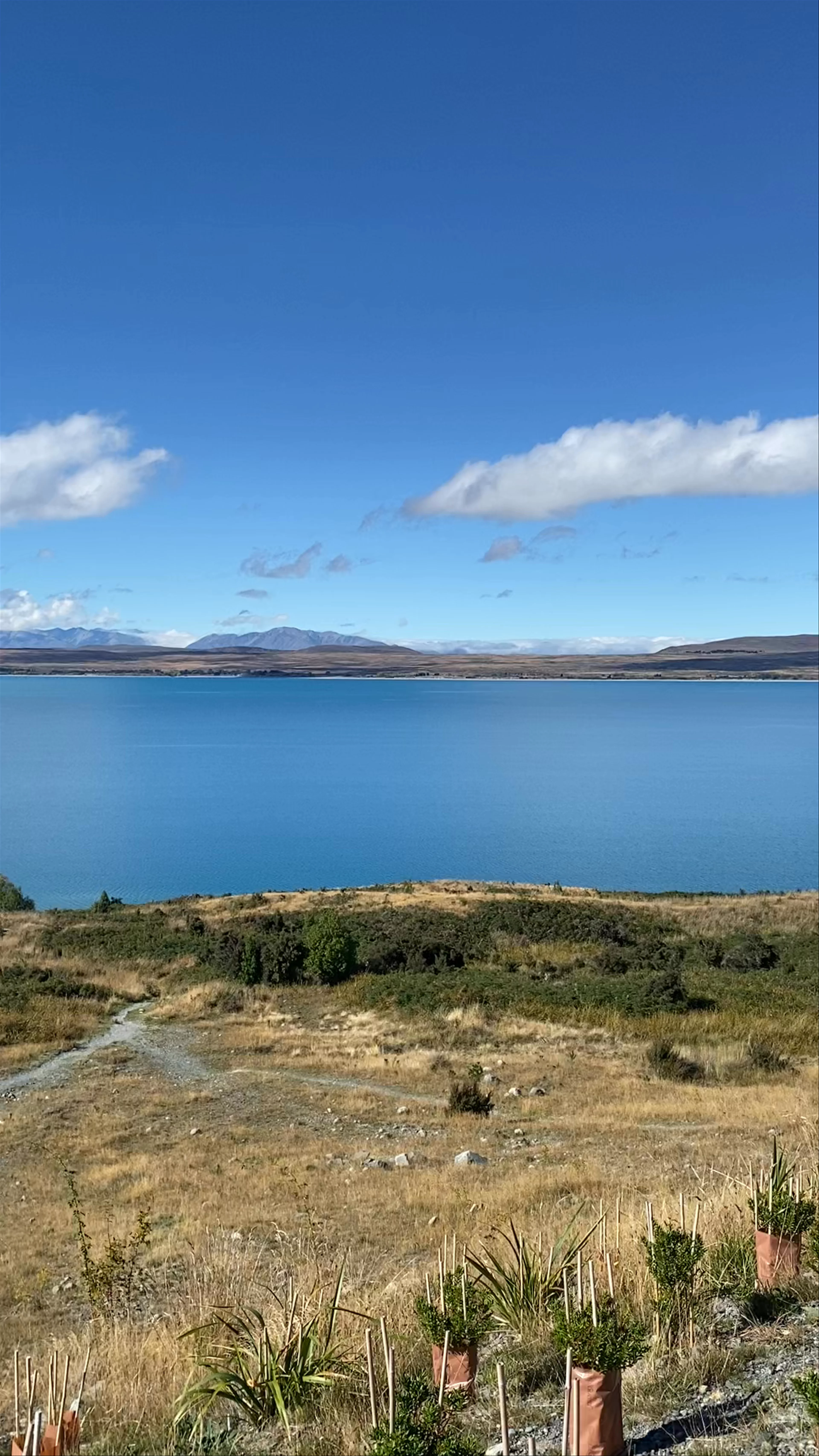 Lake Pukaki Viewpoint (Mount Cook Road)