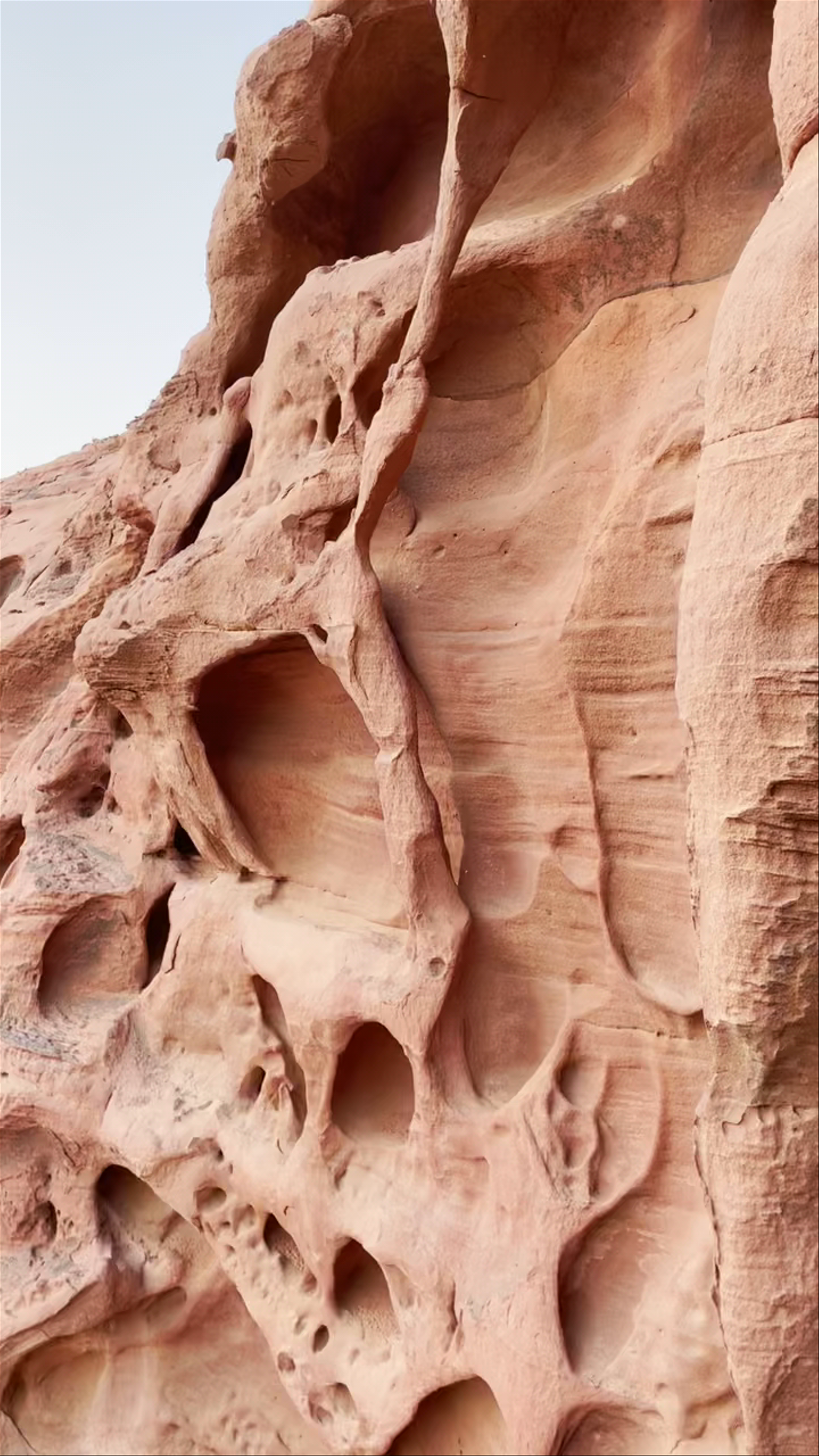 Wadi Rum Desert، Wadi Rum Village