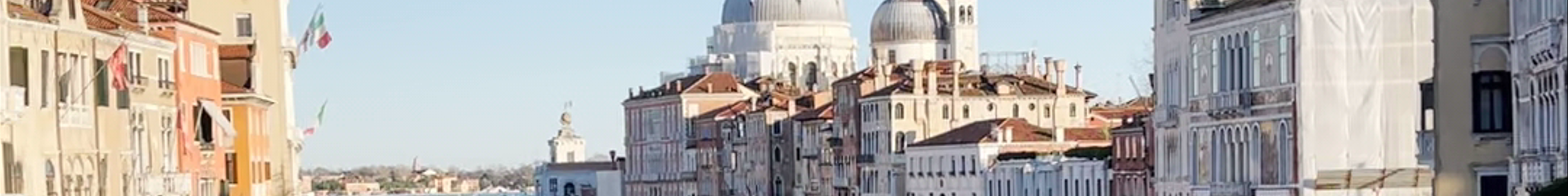 Tours & experiences in Venice