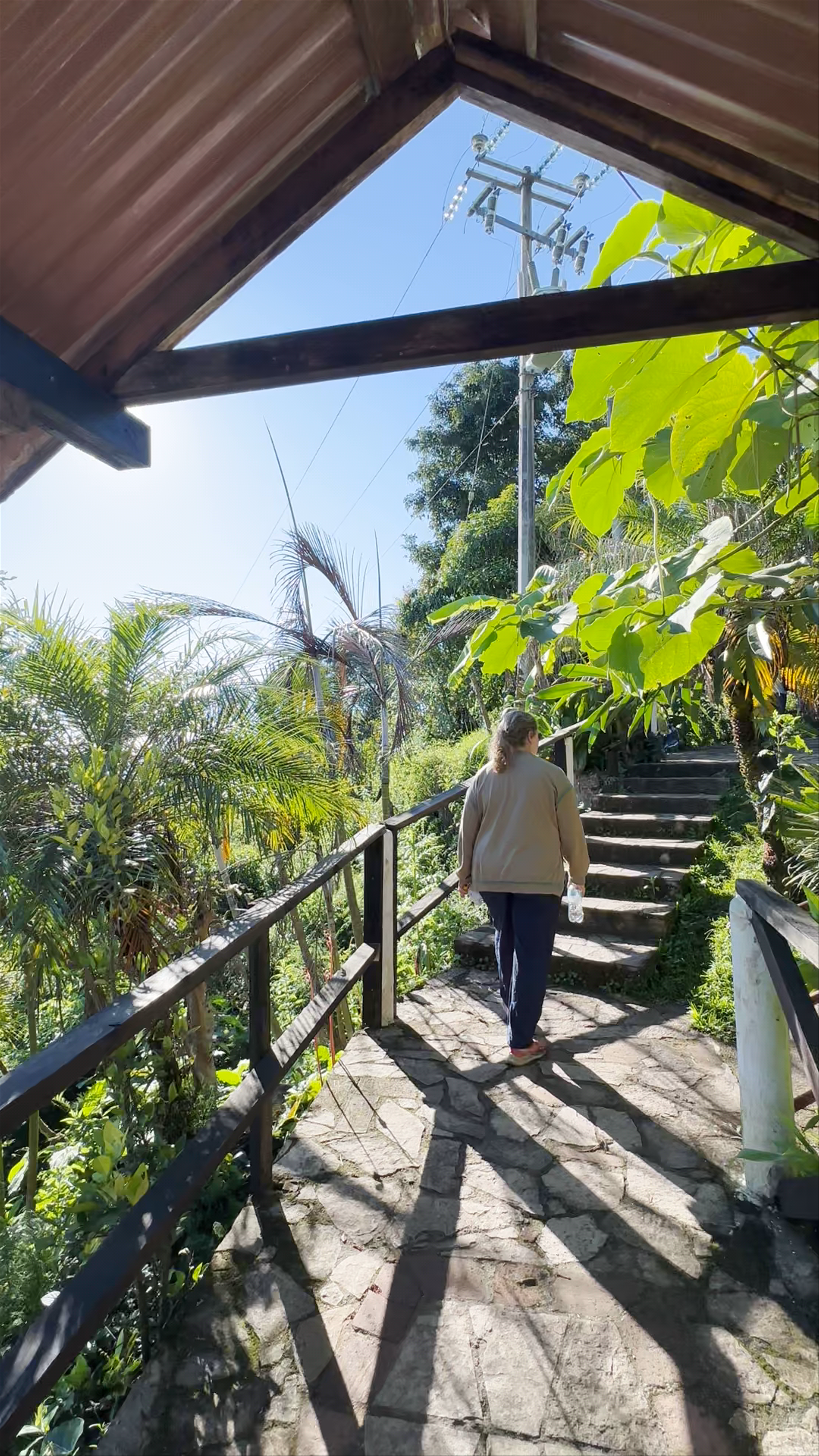 Parador Turístico Selva Maya