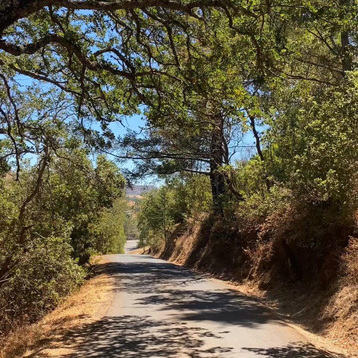 Boundless Tours - Winery and Vineyard visit for a tasting. - Transportation Near Me