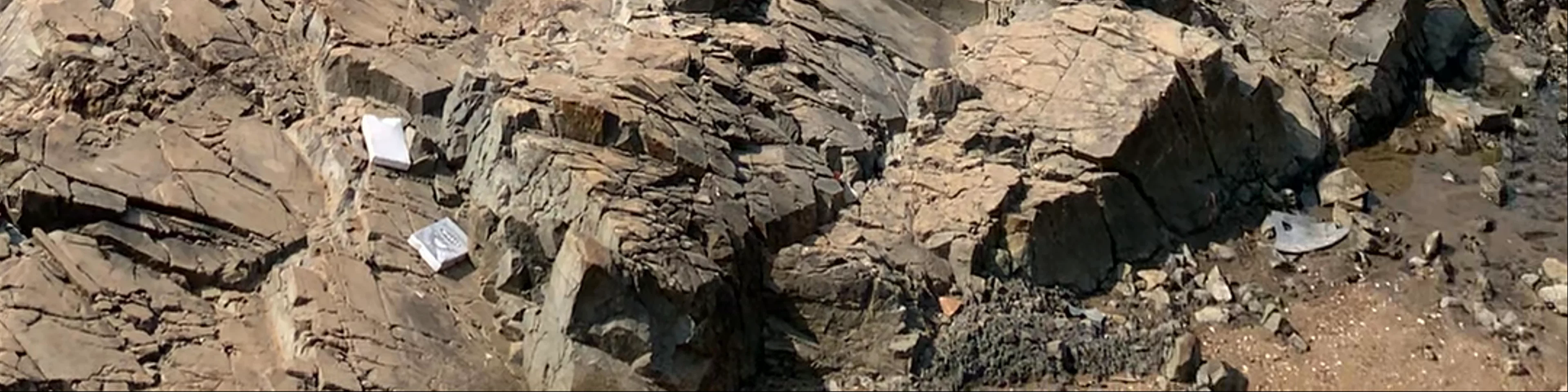 Arambol rocks