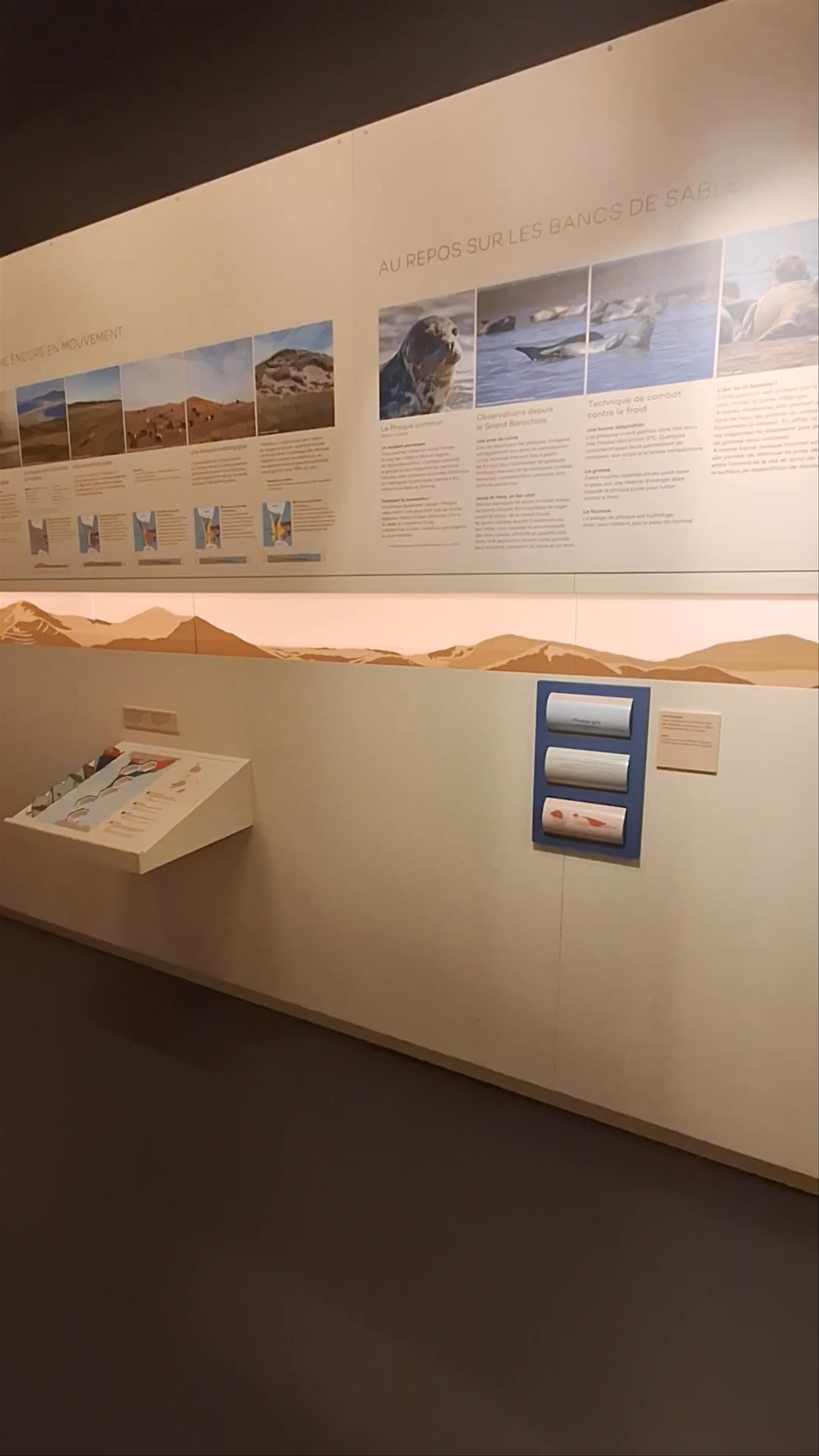 Maison de la nature et de l'environnement