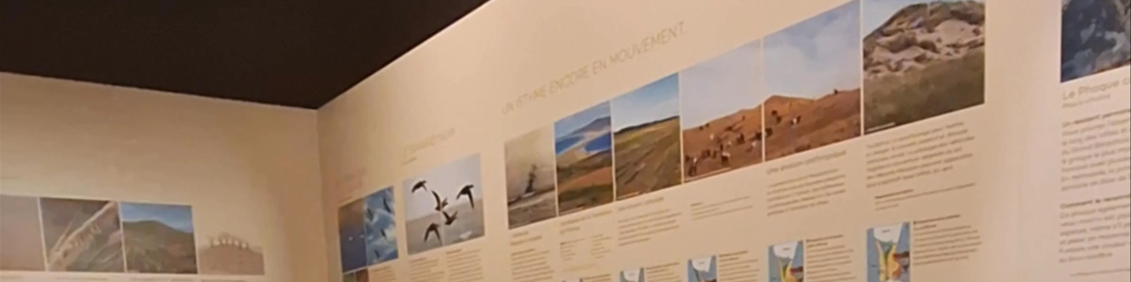 Maison de la nature et de l'environnement