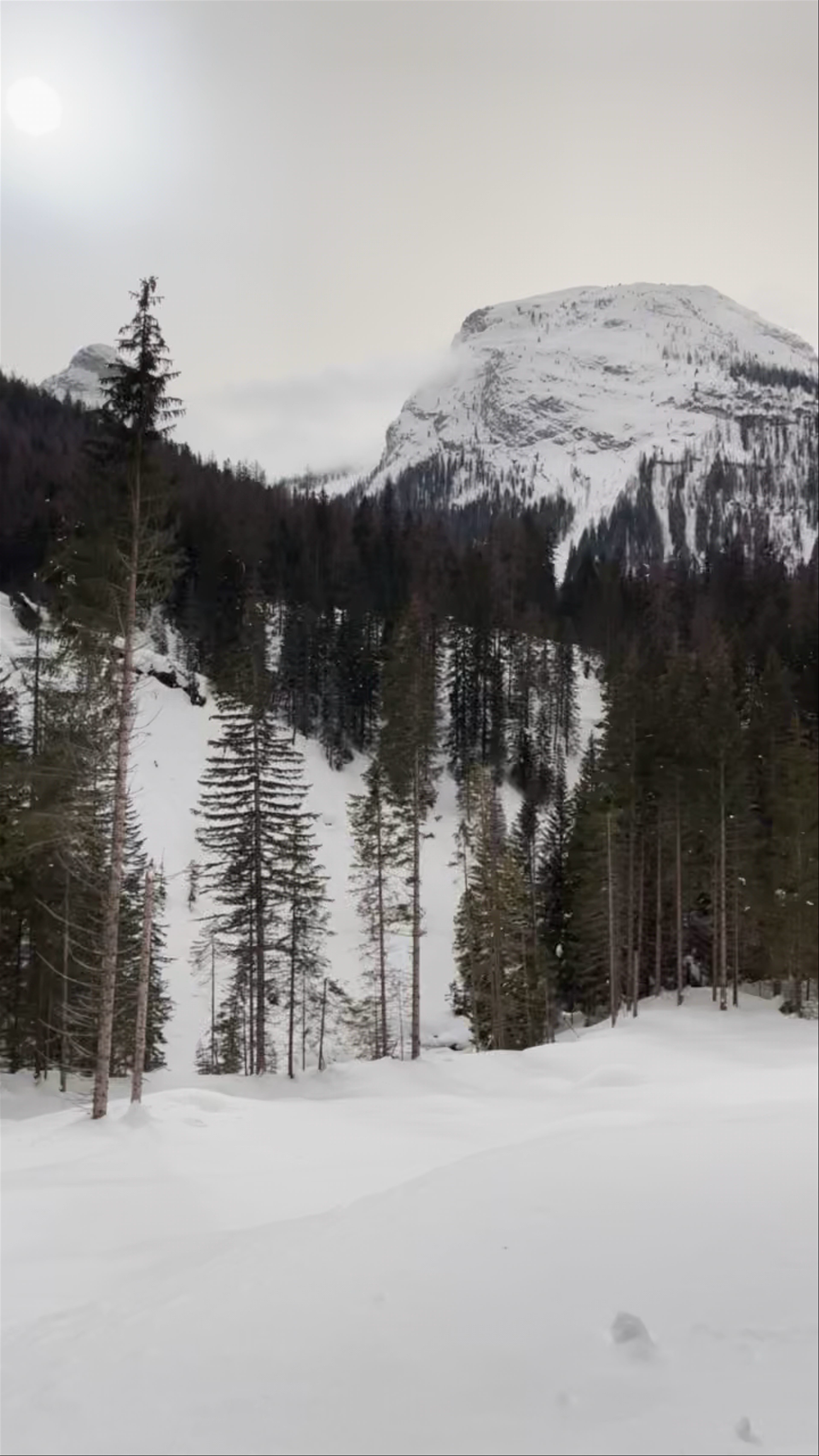 Winter Serenity at Parco Naturale Regionale delle Dolomiti d'Ampezzo