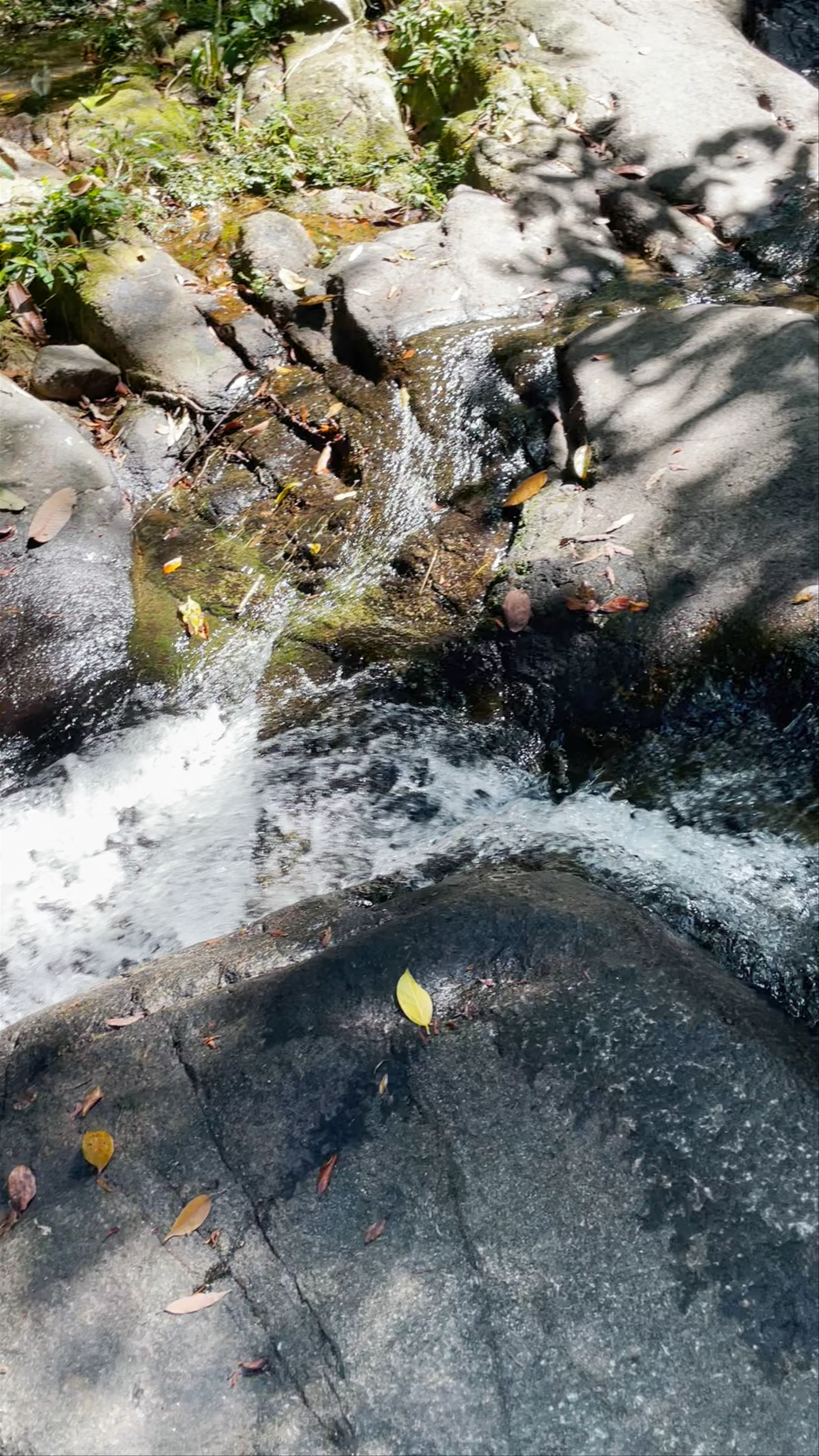 Khao Lak-Lam Ru National Park