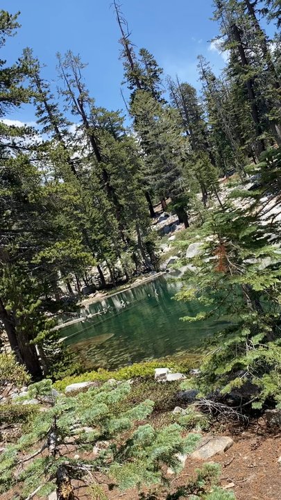 Jennie Lake - Swimming Pools Near Me - Dunlap, California