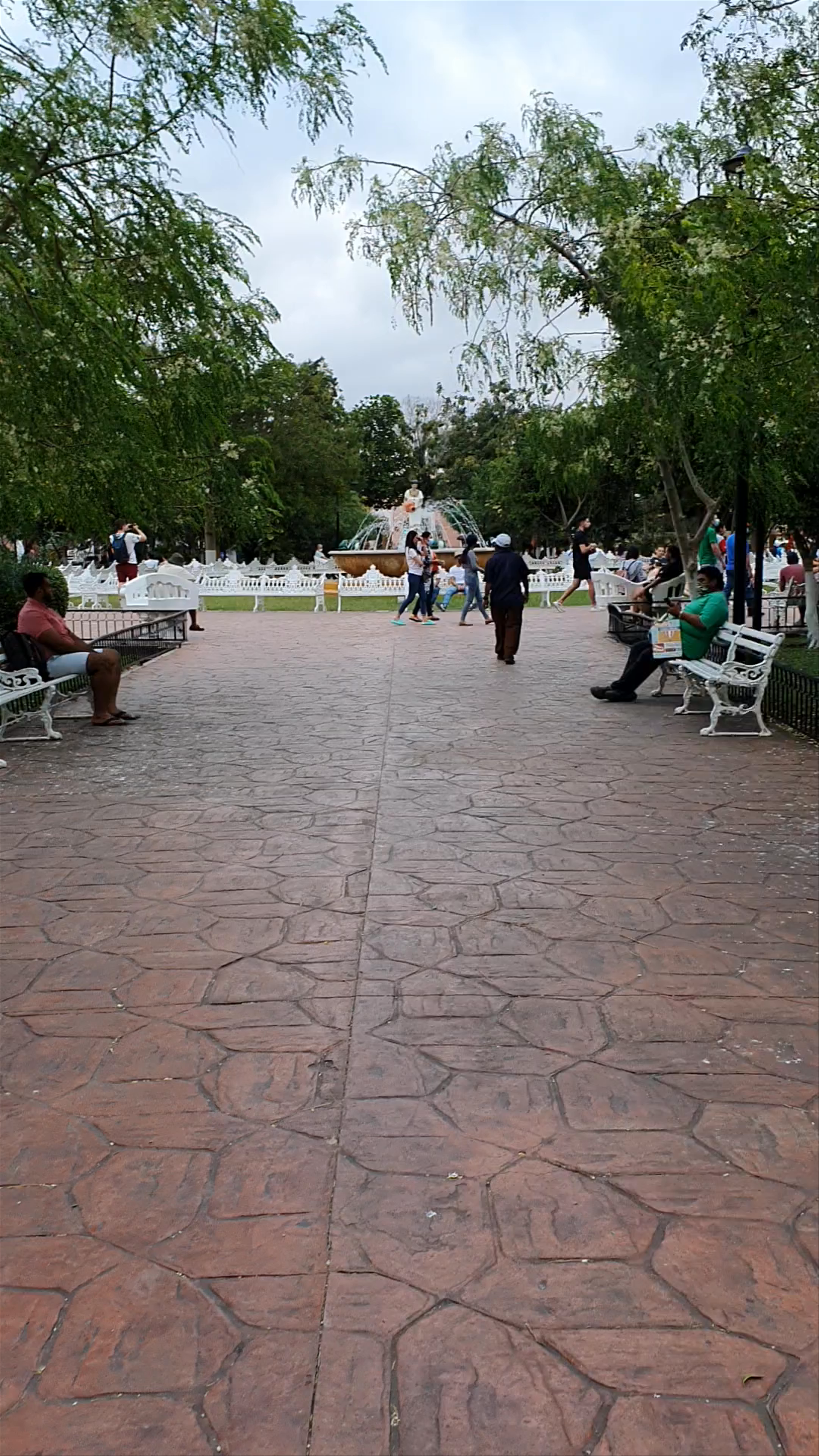 Parque Francisco I. Madero: Tranquil Urban Oasis in Mérida, Yucatán