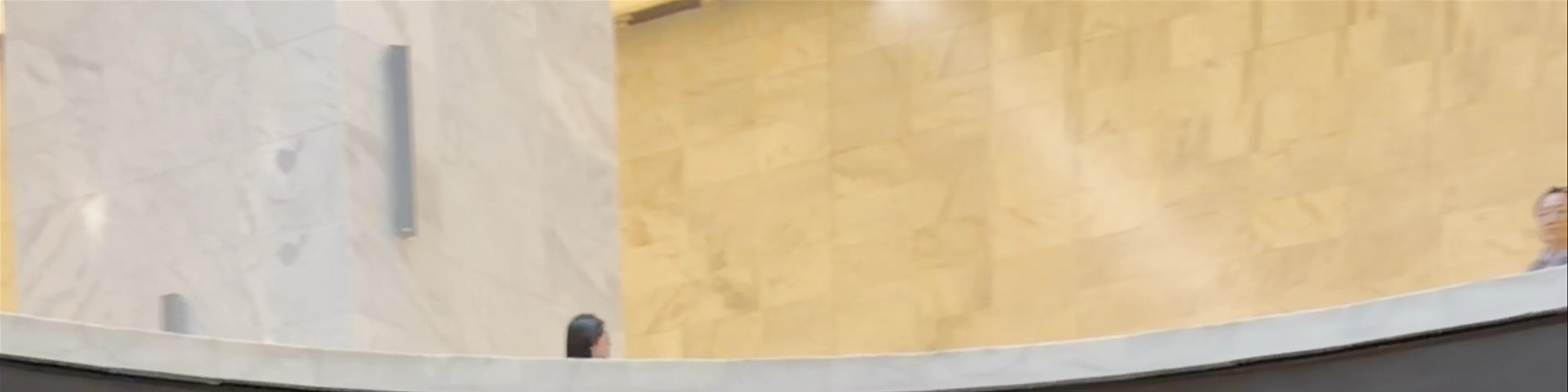 The National Museum of Egyptian Civilization