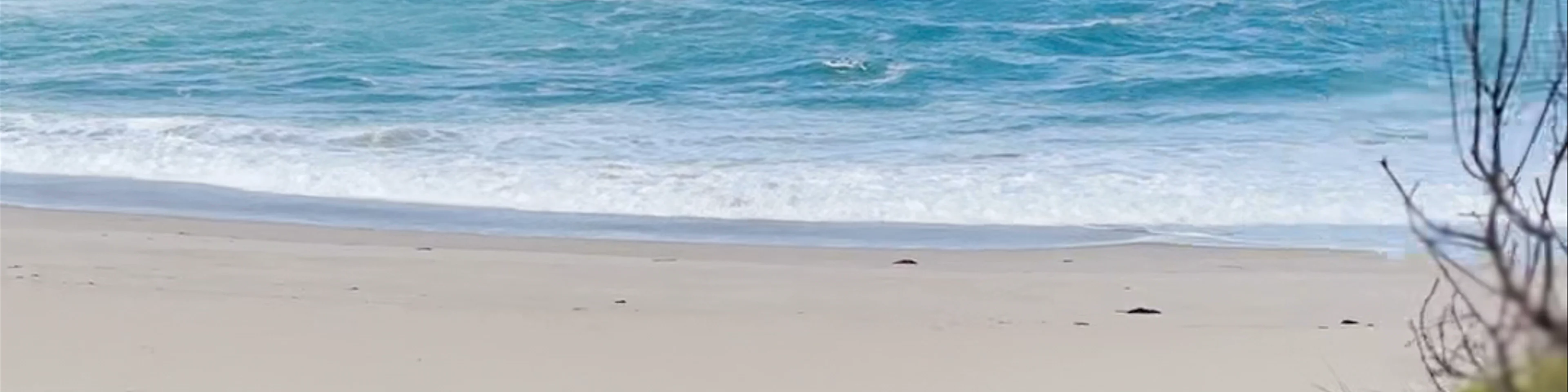 Johanna Beach