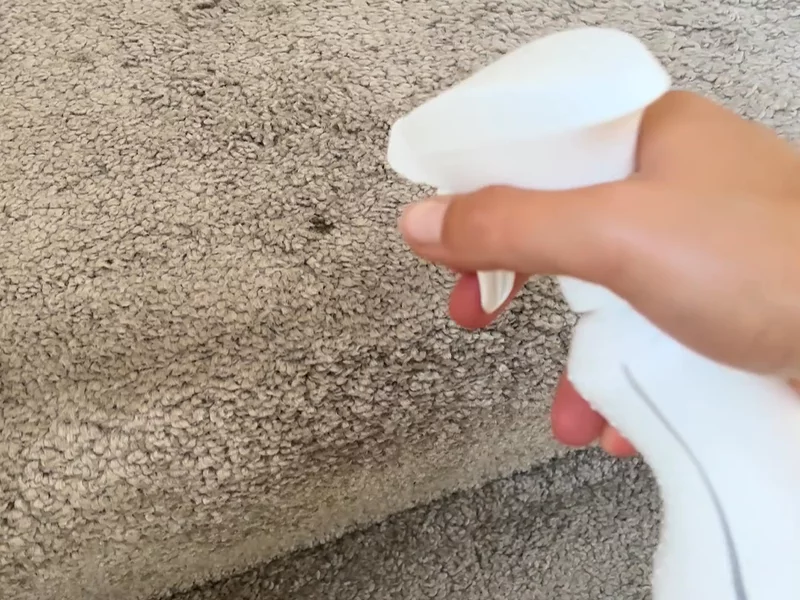 Ecodev Carpet And Upholstery Cleaner