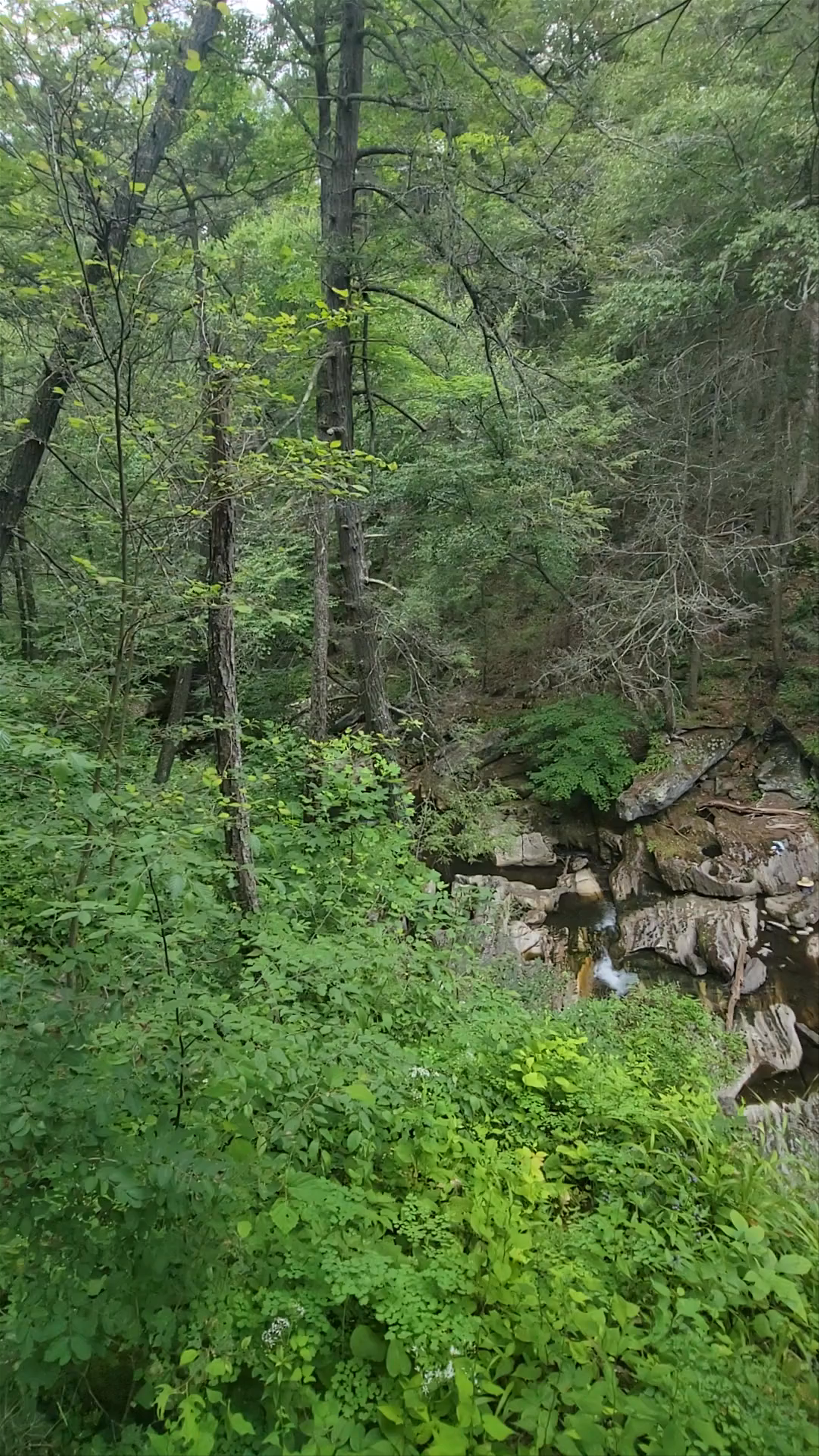 Kent Falls State Park