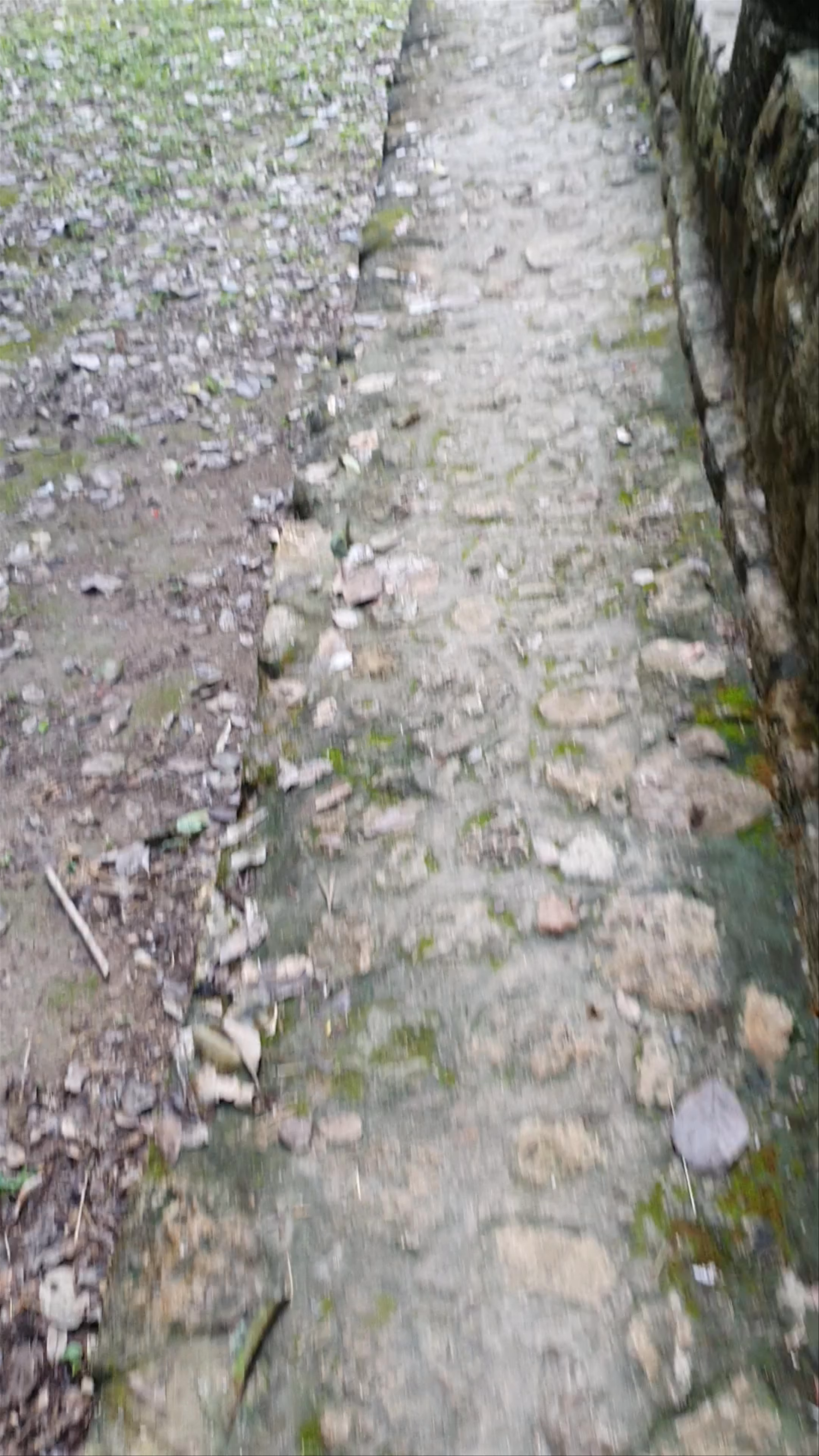 Exploring the Ancient Ruins of Ek' Balam in Yucatán, Mexico