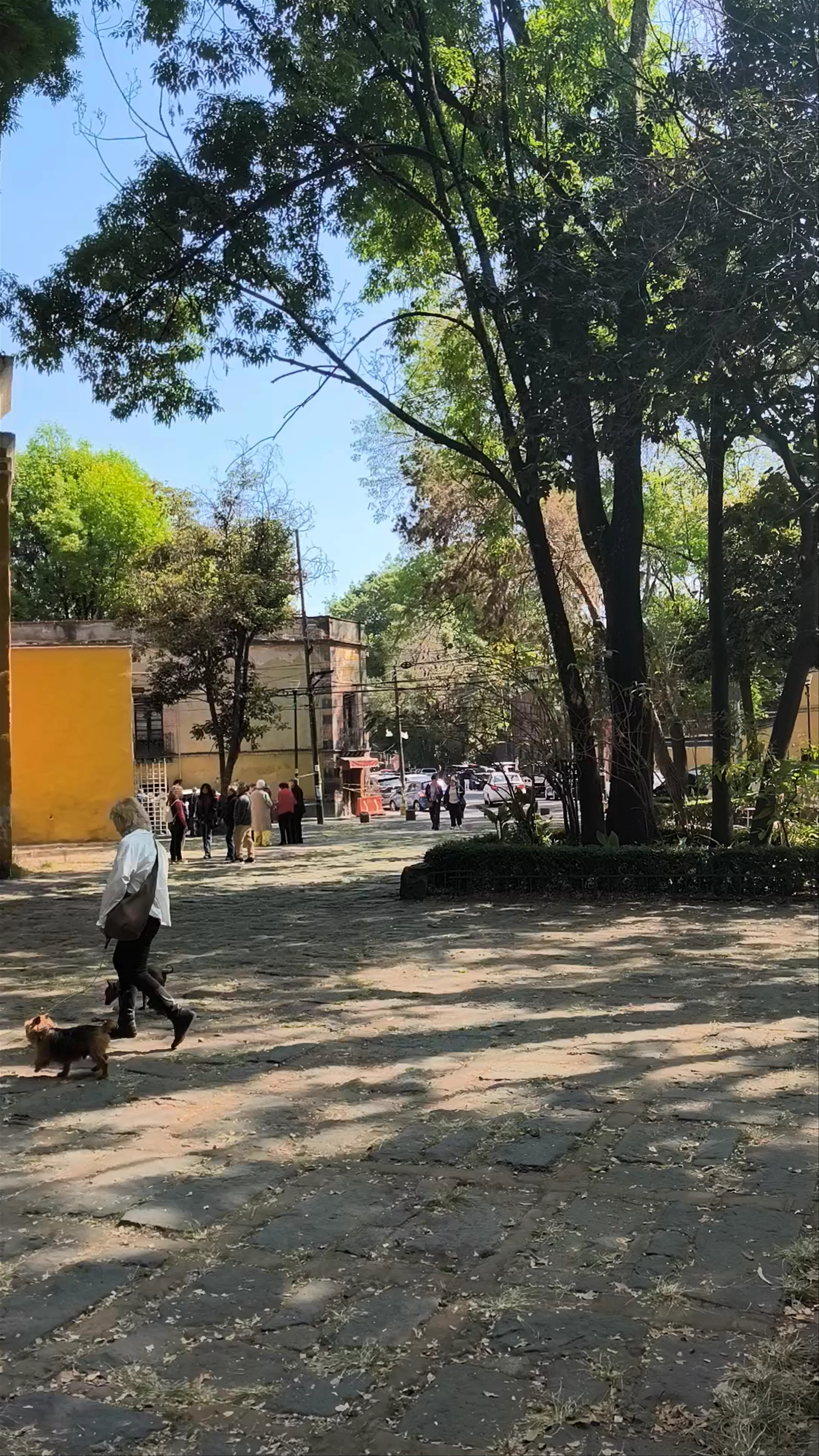 Francisco Sosa Street, Santa Catarina, Ciudad de México