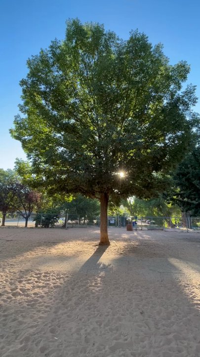 Bark Park - The Bark Park @ 360 - Dog Parks Near Me - Moab, Utah