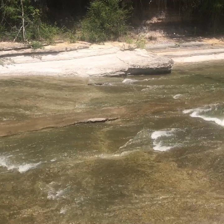 Katie Jackson Park - Blue trail leads you to this beautiful view - Hiking Near Me - Dallas, Texas
