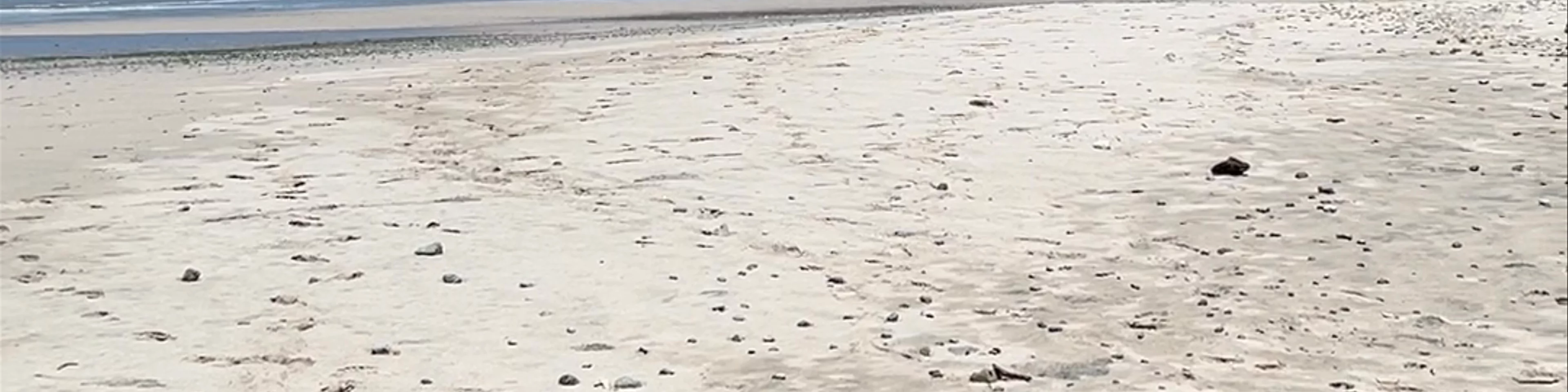 Playa Barrigona