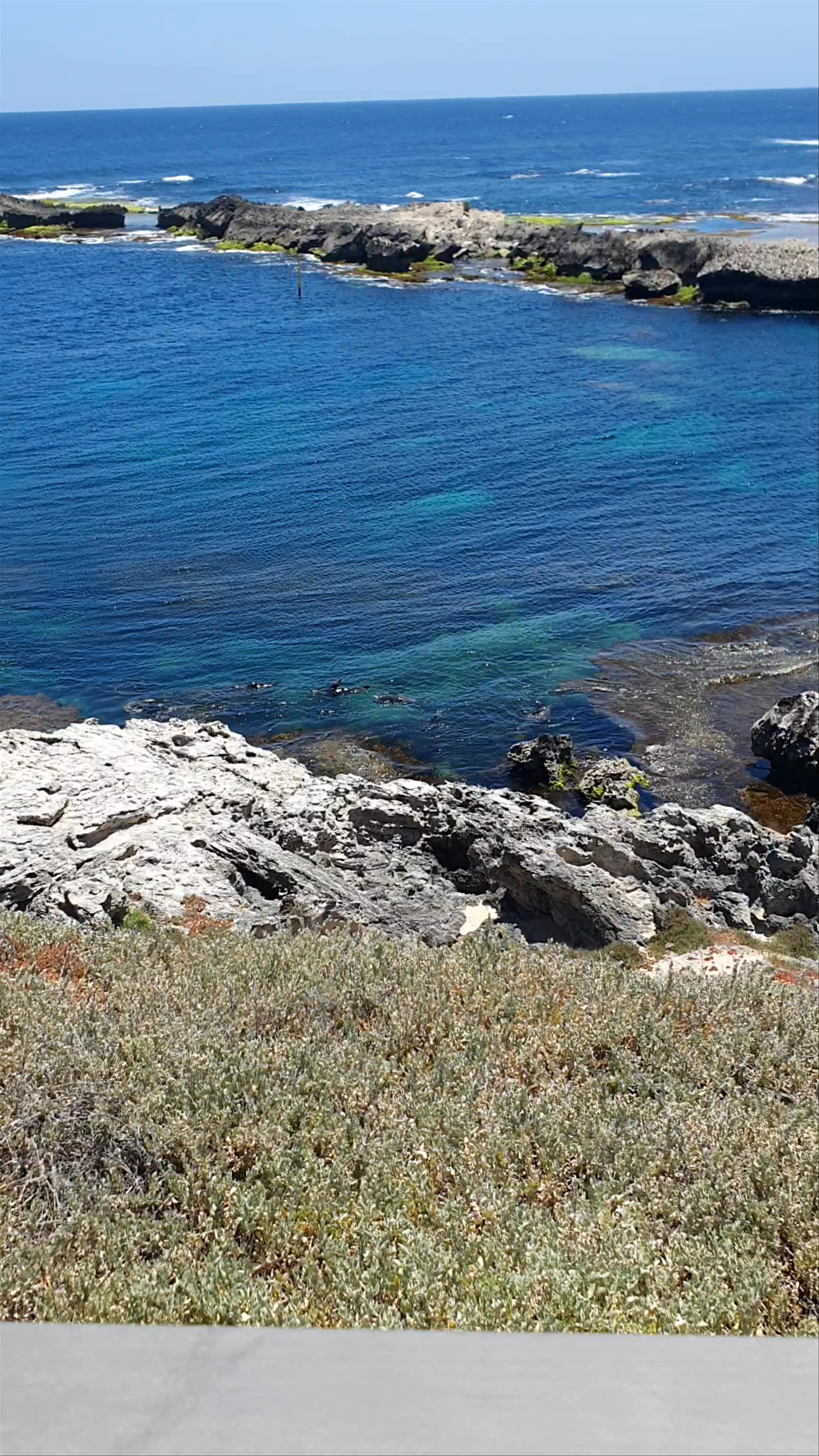 Cathedral Rocks Viewing Platform
