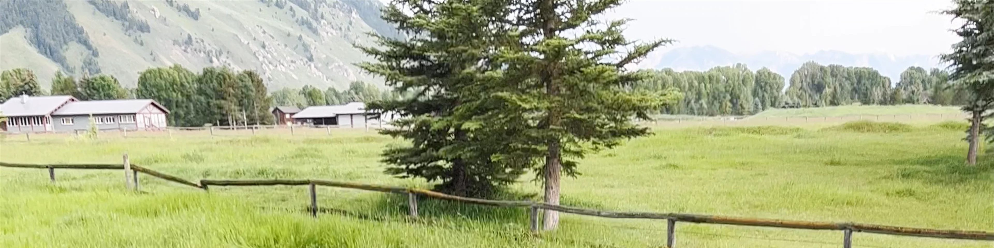 Jackson Hole