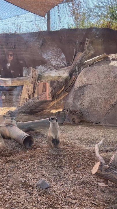 El Paso Zoo - Aquariums Near Me - El Paso, Texas